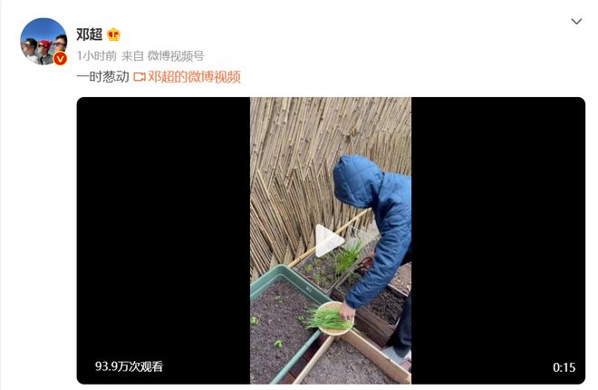孙俪拍老公雨中剪葱视频 邓超:今天我会很冲(葱)动吗?